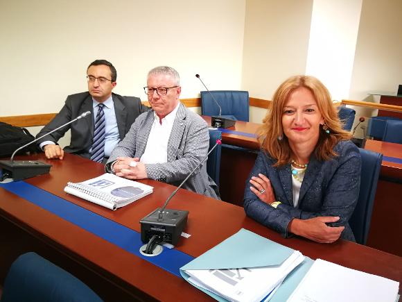 &copy; 2013 - Audizione Irccs - Crob