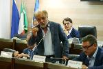 © 2013 - 30.7.2019_Consiglio_regionale_Leone_5_Foto_A_Mattiacci