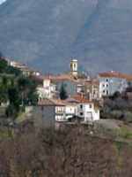 © 2013 - nemoli.jpg