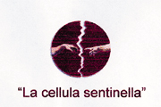 © 2013 - cellula_sentinella.jpg