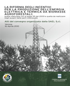 La riforma degli incentivi per la produzione dell'energia elettrica e termica da biomasse afroforestali