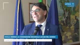 CICALA INSEDIA LA COMMISSIONE REGIONALE LUCANI NEL MONDO