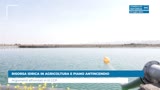 RISORSA IDRICA IN AGRICOLTURA E PIANO ANTINCENDIO 