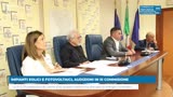 IMPIANTI EOLICI E FOTOVOLTAICI, AUDIZIONI IN TERZA...