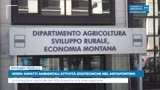 VERRI: IMPATTI AMBIENTALI ATTIVITÀ ZOOTECNICHE NEL...