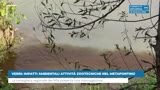 VERRI: IMPATTI AMBIENTALI ATTIVITÀ ZOOTECNICHE NEL...