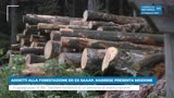 ADDETTI ALLA FORESTAZIONE ED EX SAAAP, MARRESE PRESENTA...