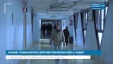 POLESE: “FARMACEUTICA SETTORE STRATEGICO PER IL PAESE”