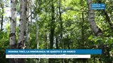 NOMINA TISCI, LA MINORANZA: SE QUESTO È UN PARCO