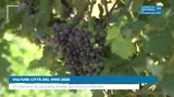 VULTURE CITTÀ DEL VINO 2026