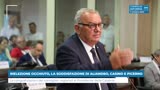 RIELEZIONE OCCHIUTO, LA SODDISFAZIONE DI ALIANDRO, CASINO E...