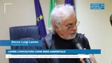 LEONE: L’APICOLTURA COME BENE AMBIENTALE