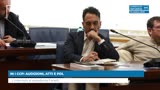 IN I CCP: AUDIZIONI, ATTI E PDL