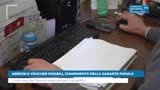 Assegni e voucher disabili, chiarimento della Garante Padula