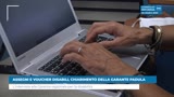 Assegni e voucher disabili, chiarimento della Garante Padula