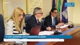 IV CCP: AUDIZIONI, ATTI E PROPOSTE DI LEGGE
