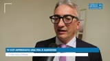 IV CCP APPROVATA UNA PDL E AUDIZIONI