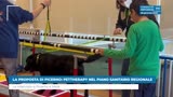 LA PROPOSTA DI PICERNO: PETTHERAPY NEL PIANO SANITARIO...