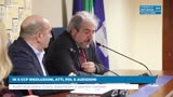 IN II CCP RISOLUZIONI, ATTI, PDL E AUDIZIONI