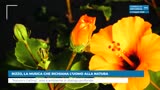 RIZZO, LA MUSICA CHE RICHIAMA L’UOMO ALLA NATURA