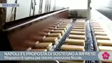 NAPOLI (FI) PROPOSTA DI SOSTEGNO A IMPRESE